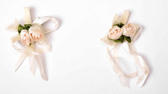 Baby Me Girls Hair Clip (BMA19259)