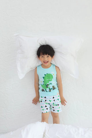 Green Dino Short sleeve and Shorts Set