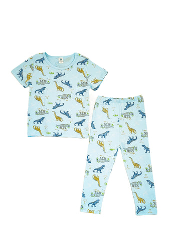 Boys Lounge Wear Collection "Lt. Blue Dino Print"